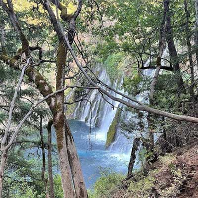 Image of hotels near burney falls