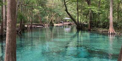 Surprising Hotels Near Ginnie Springs, Florida